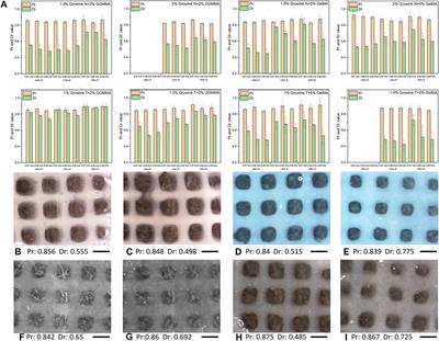 Rheological and Printability Assessments on Biomaterial Inks of Nanocellulose/Photo-Crosslinkable Biopolymer in Light-Aided 3D Printing